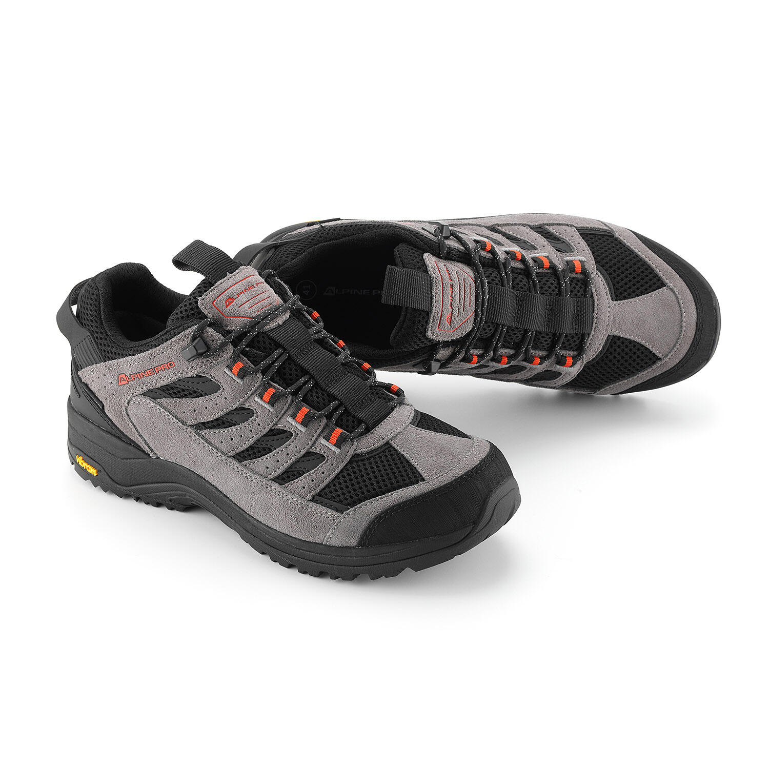 ALPINE PRO picture