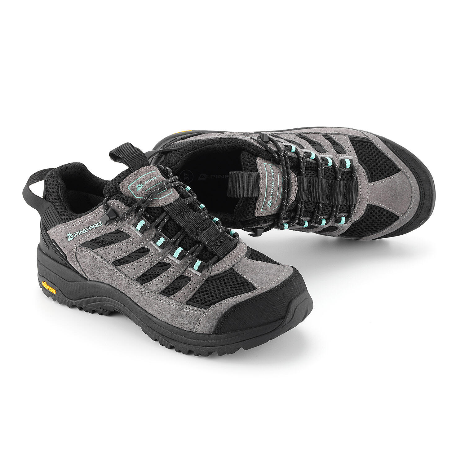 ALPINE PRO picture