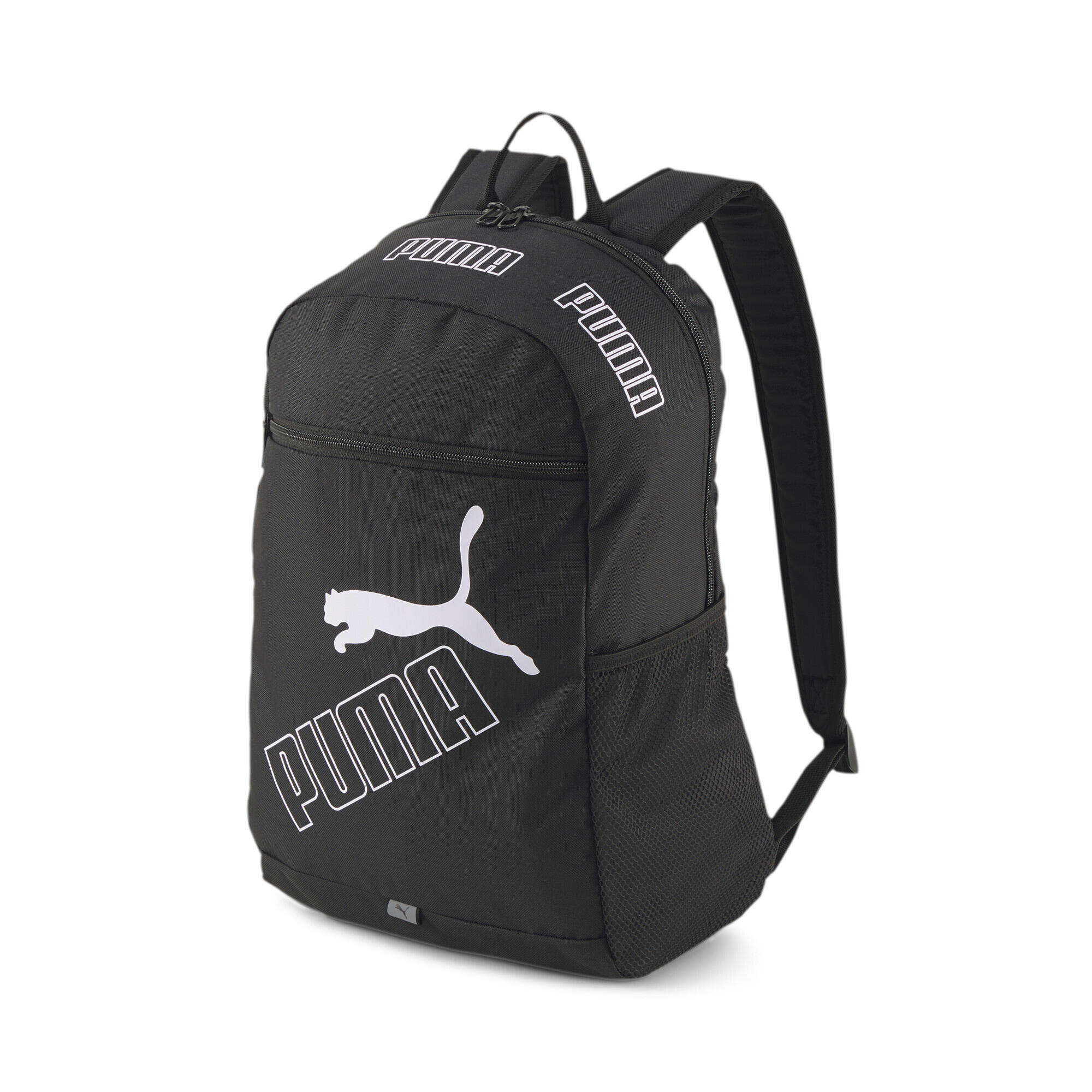 PUMA picture
