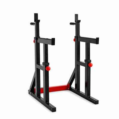 Titanium strength squat rack / dip stand