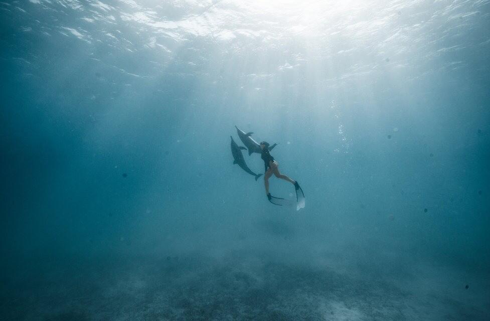 Séjour apnée et vie marine à Marsa Alam 1/1
