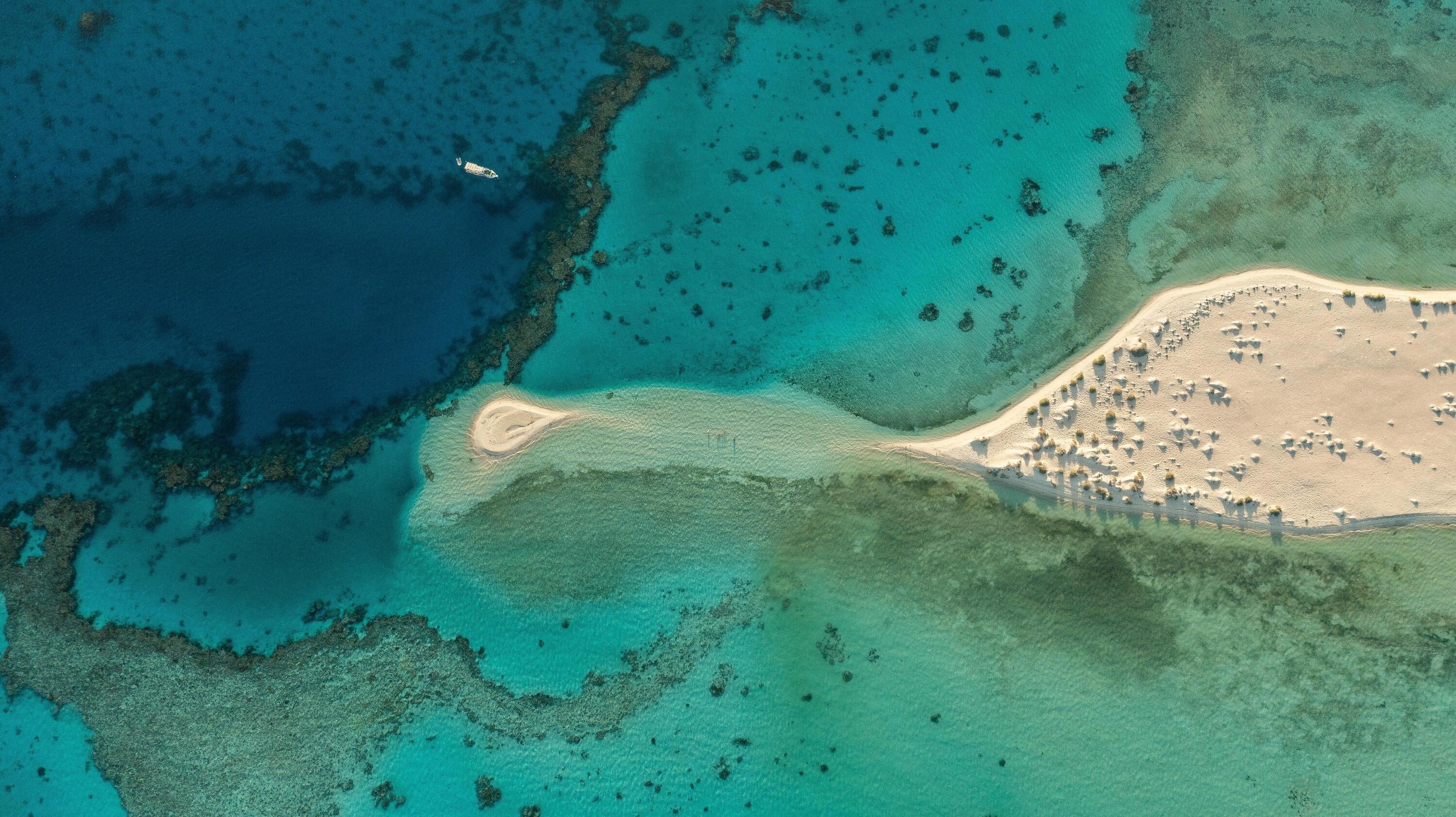 Progressez en plongée et explorez les fonds de la mer Rouge 1/1