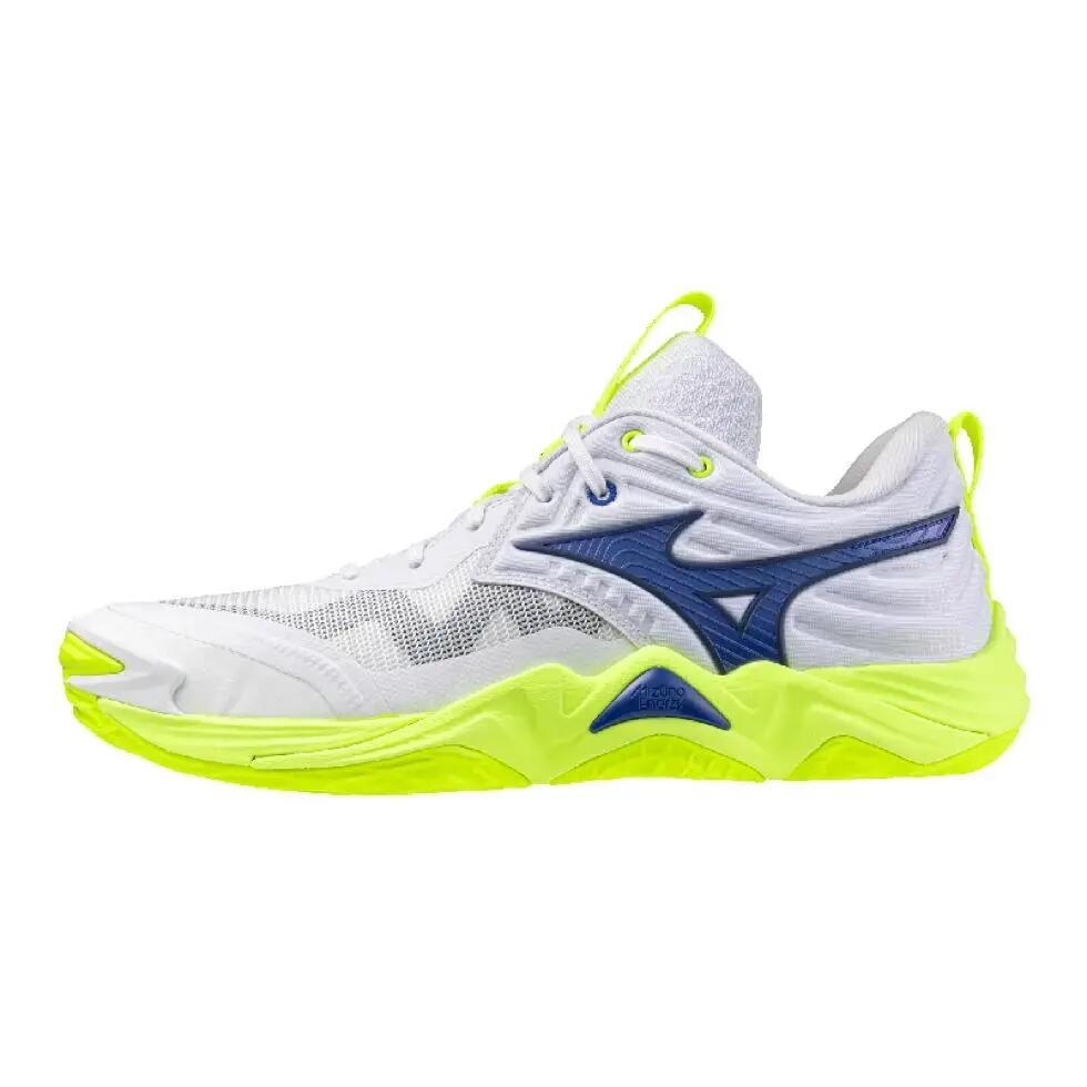 Mizuno Wave Momentum Elite Indoor Shoes