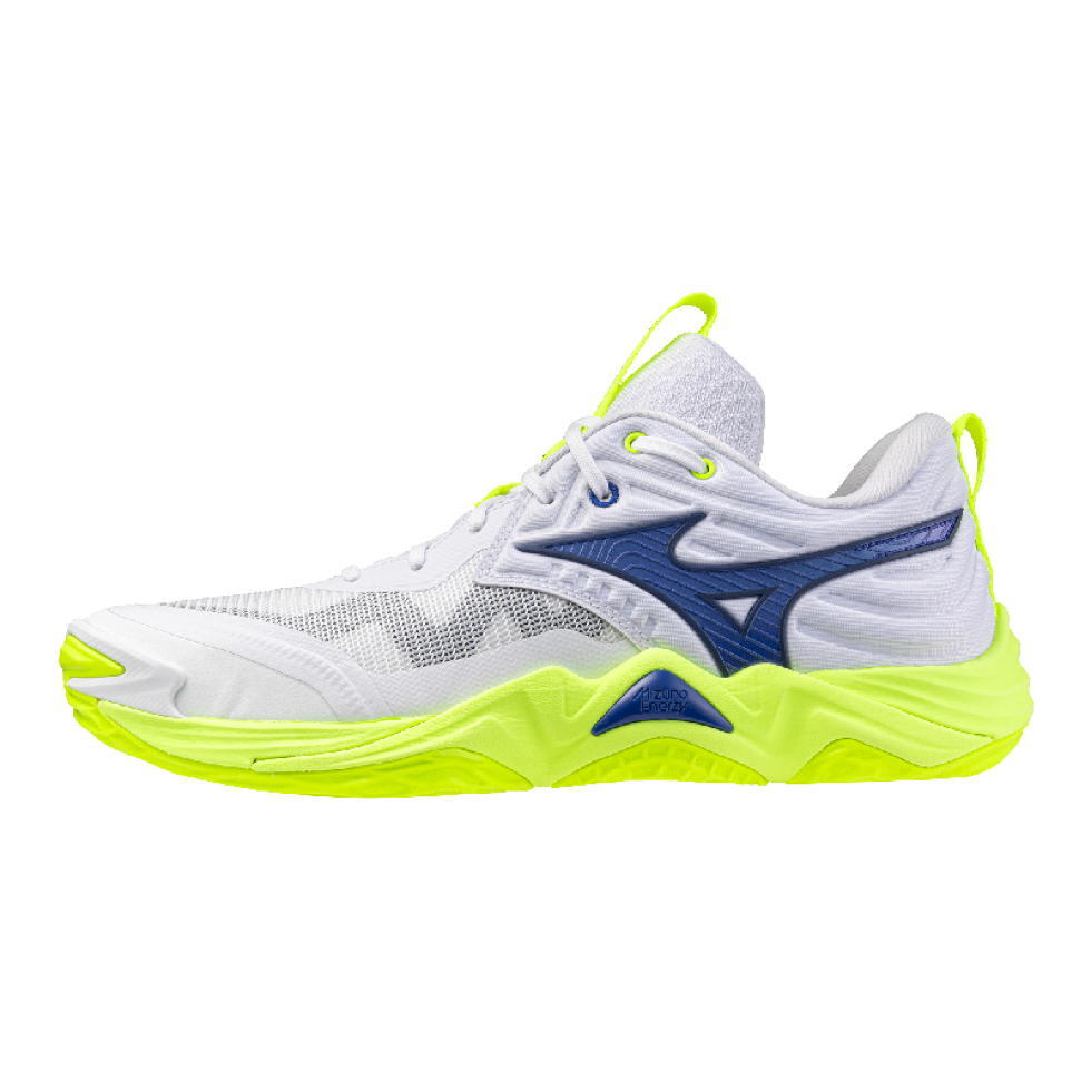 Mizuno Wave Momentum Elite Indoor Shoes