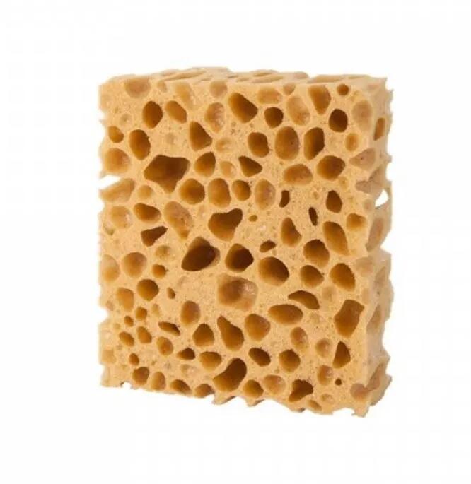 PEDAG picture
