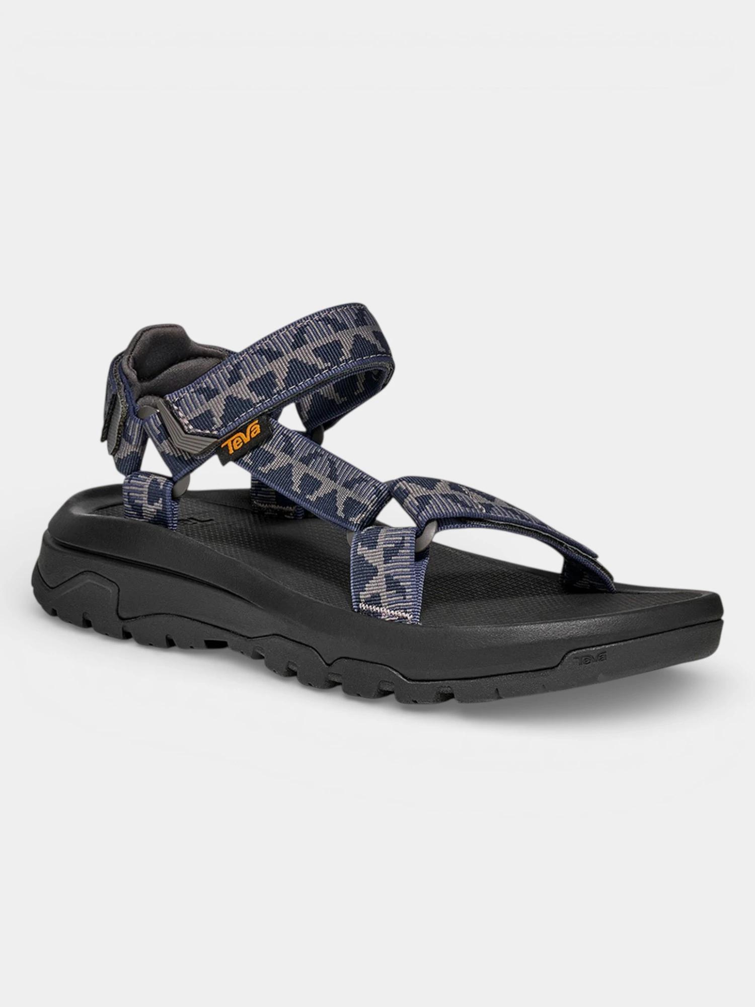 TEVA picture