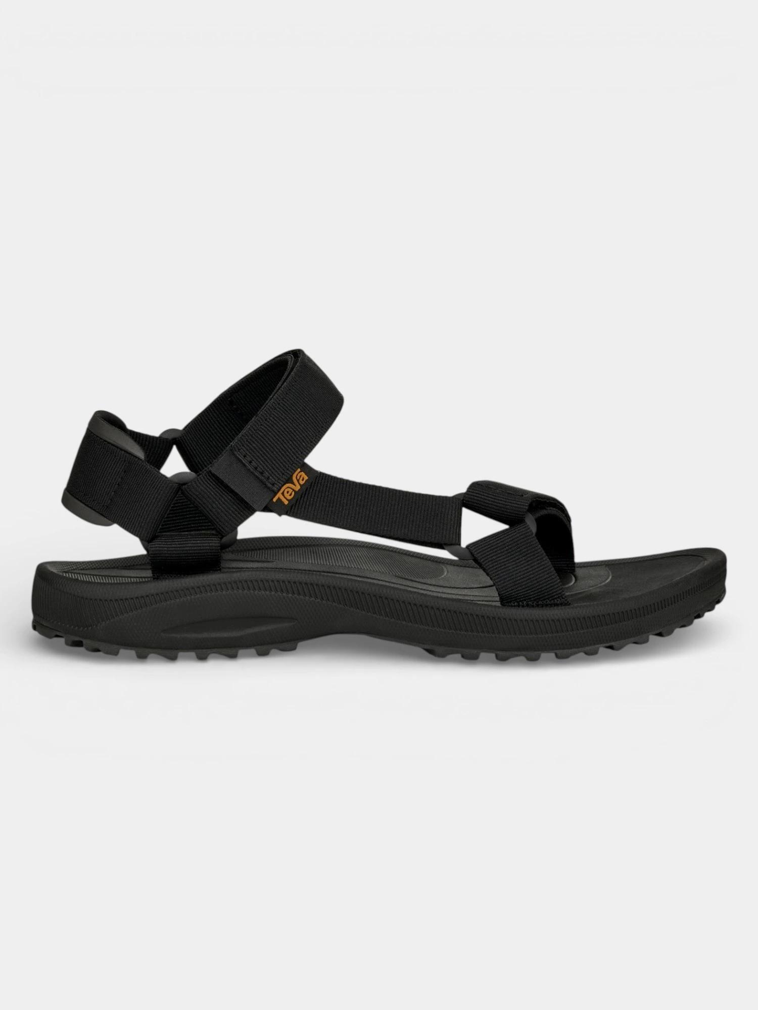 TEVA picture