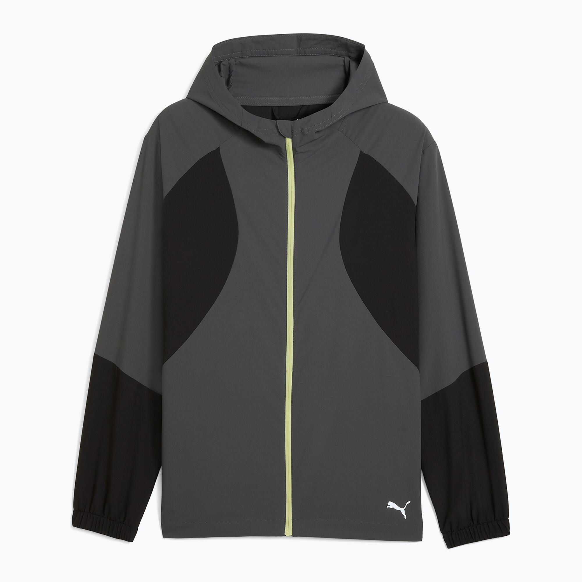 PUMA picture