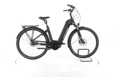Ebike ricondizionata · Bergamont E-Horizon N8 · Buone condizioni