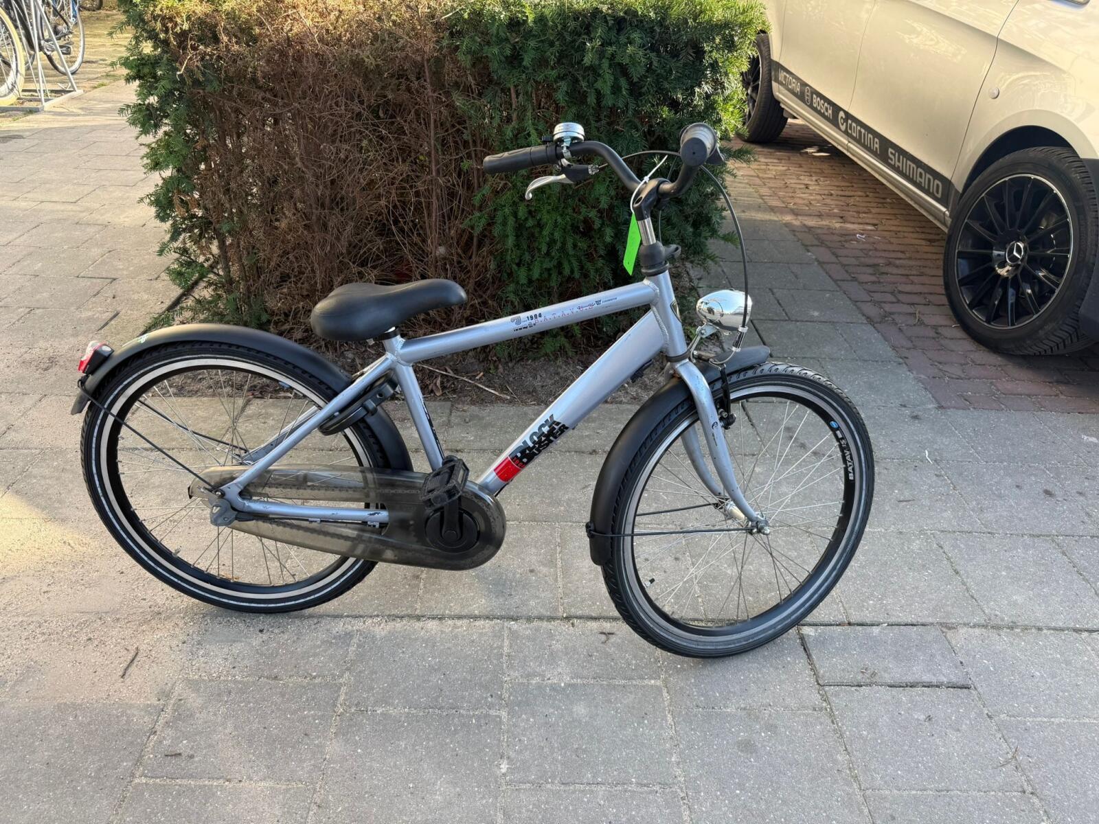 BATAVUS picture