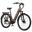 Bicicletă electrică TTGO C7 SE pentru femei cu baterie de 36V 18Ah