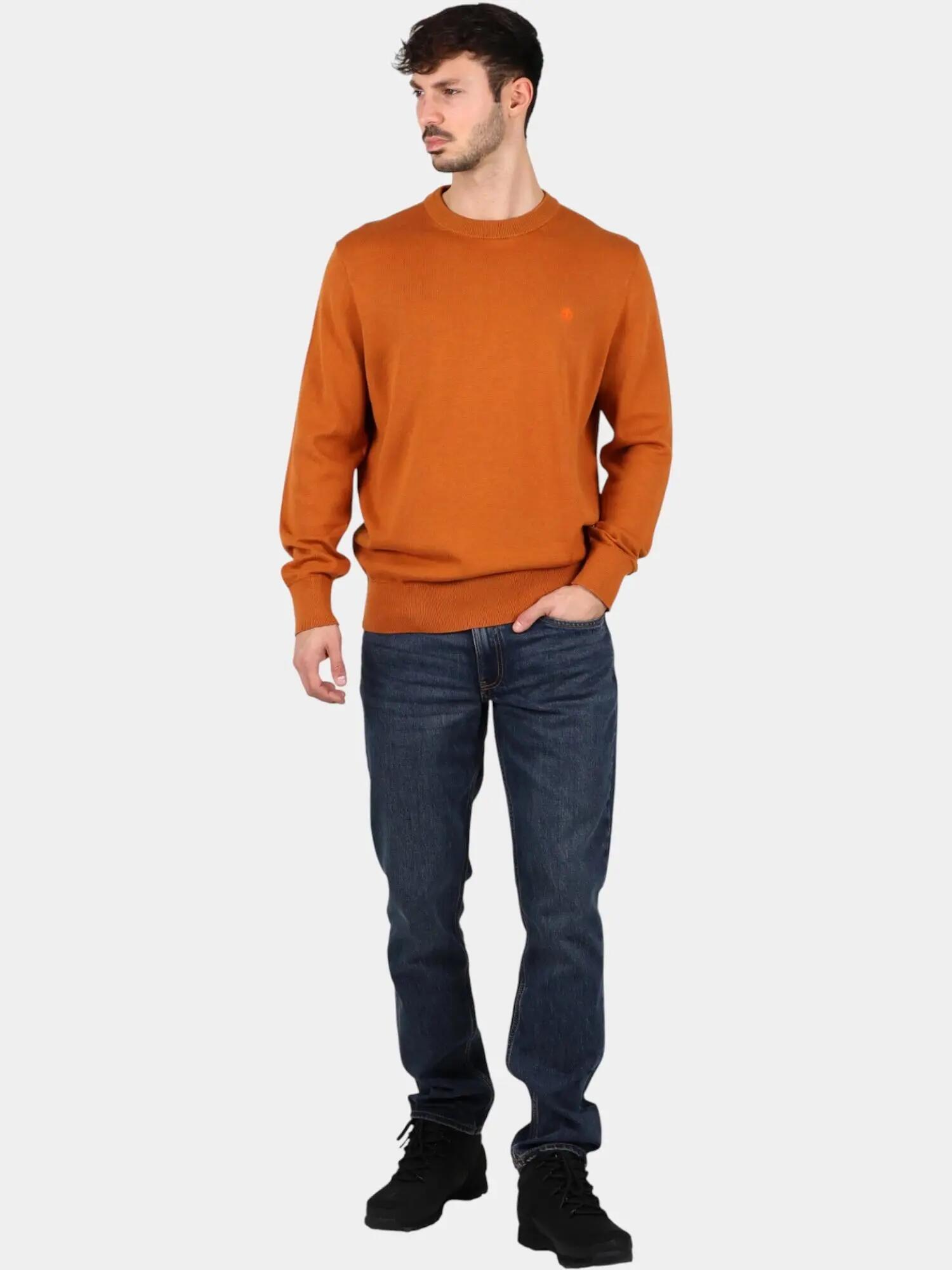 Sweater Men LS Williams River Cotton YD Crew Regular 4/5