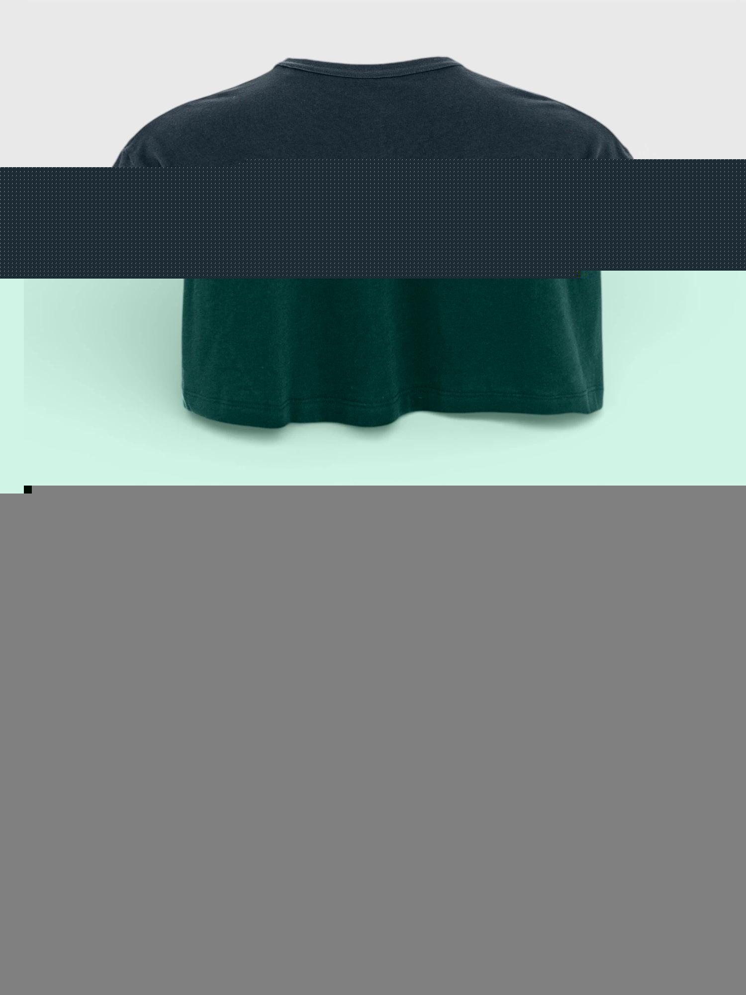Koszulka bawełniana Fjallraven Fjallraven Relaxed T-Shirt 5/6