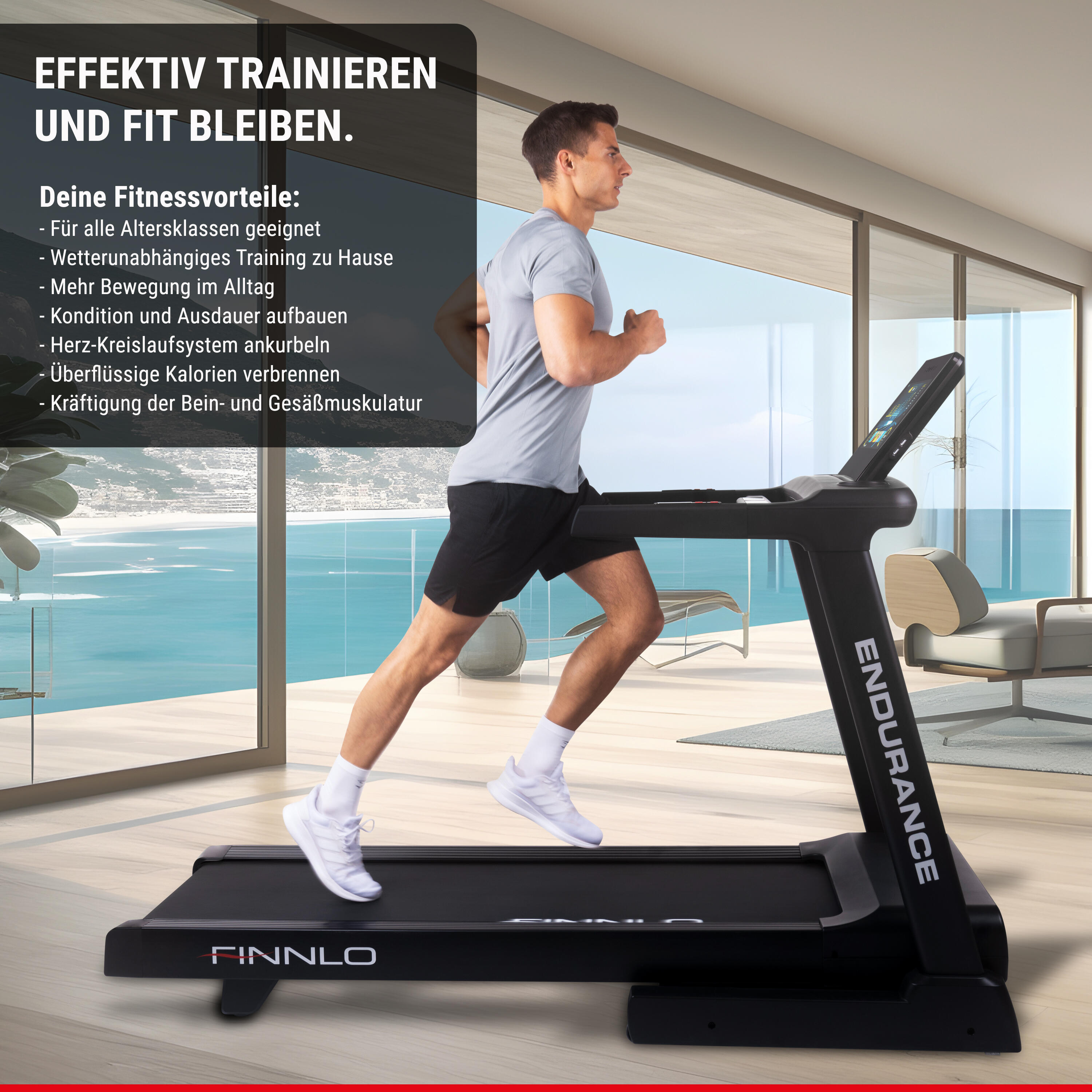 Finnlo Laufband Endurance TFT 6/9