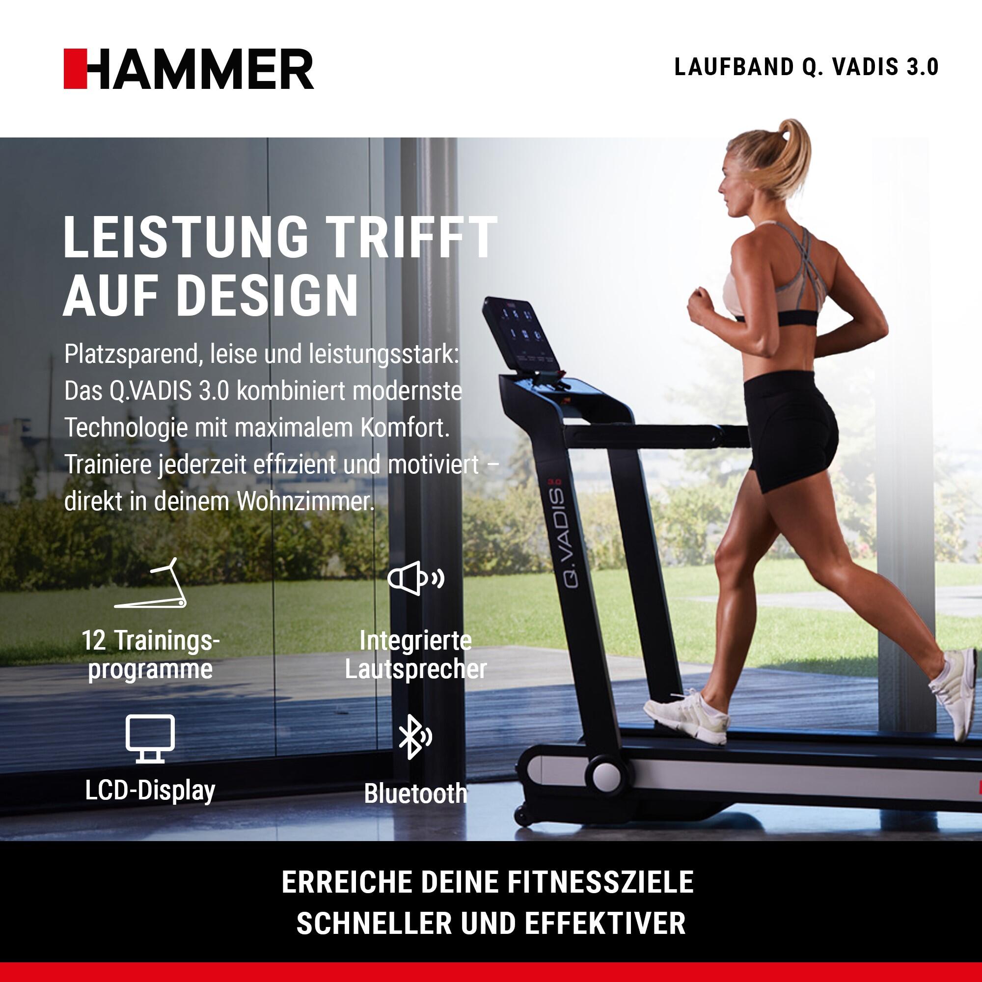 Cinta de correr Q. VADIS 3.0 Hammer envío, montaje y puesta en marcha incluido 2/8