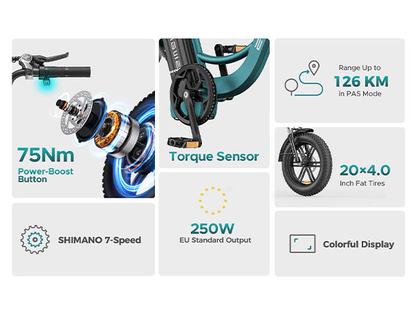 Bicicleta eléctrica ENGWE L20 Boost con cuadro bajo, para adultos 7/7