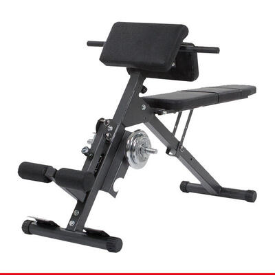 AB & BACK TRAINER FINNLO BY HAMMER
