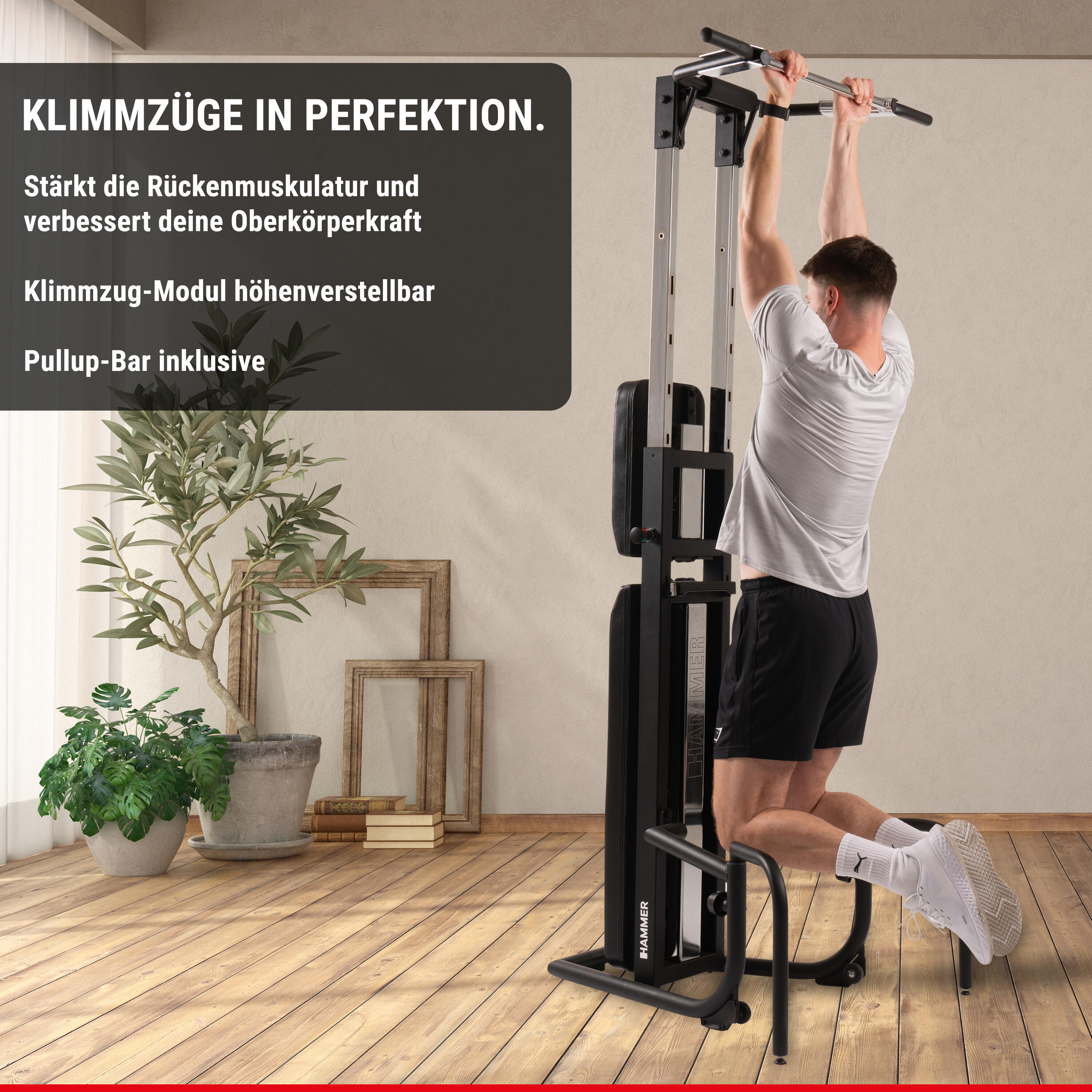 Bench Pullup & Dip 3/8