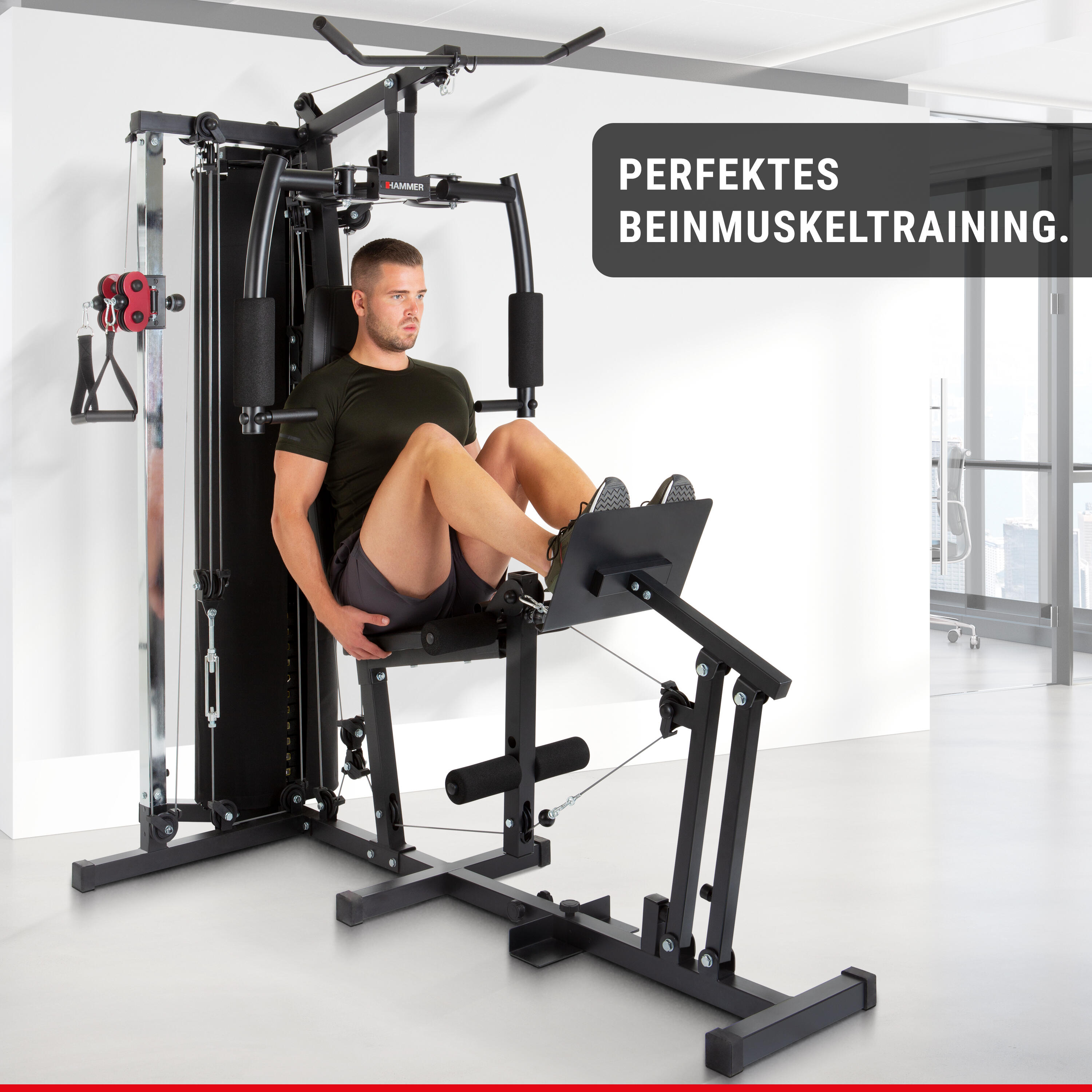 Multigimnasio Ferrum TX4 con prensa de piernas y entrenador de espalda 4/8