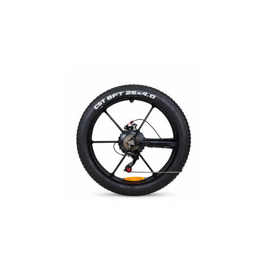 Bike F1 Roue arrière + moteur/Rear motor wheel – Pièce détachée drais