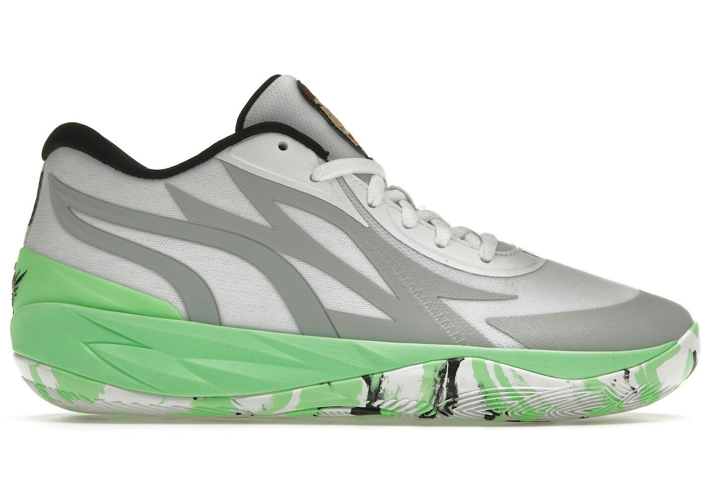 PUMA picture
