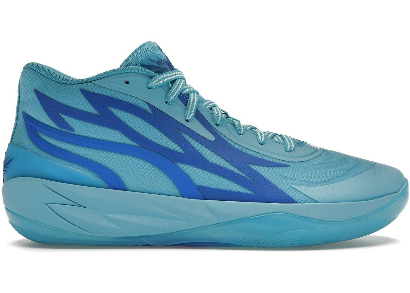 PUMA picture