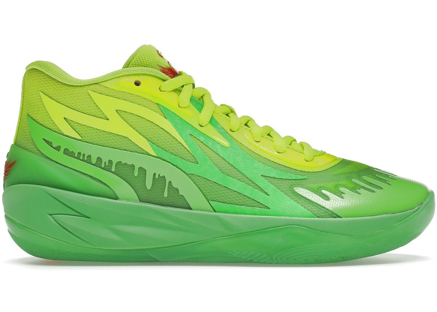 PUMA picture