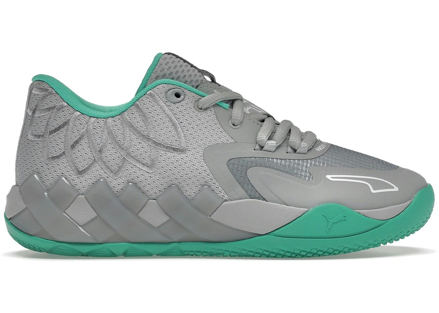 PUMA picture