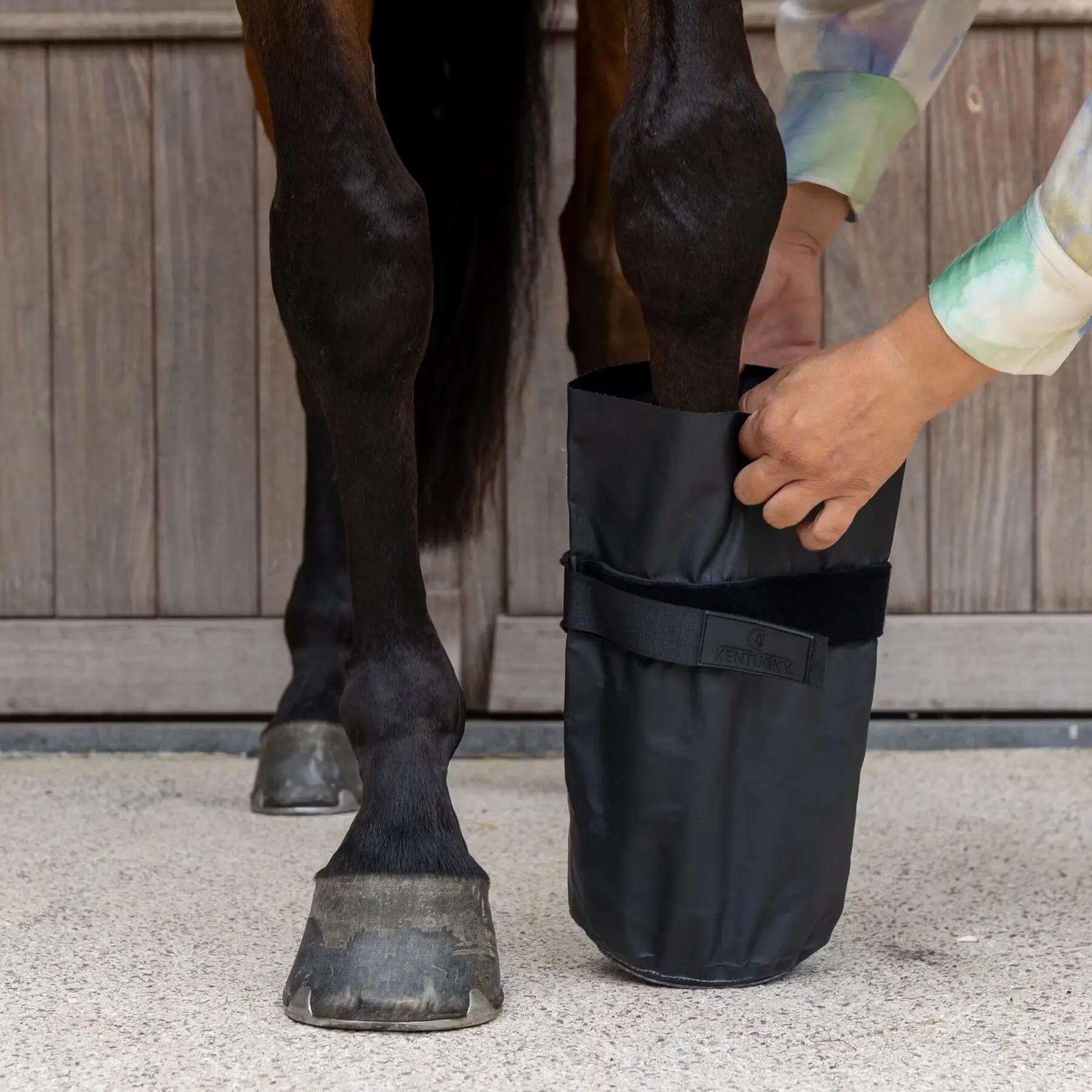 Hoof care for horses Kentucky Horsewear Medical & Ice 3/5