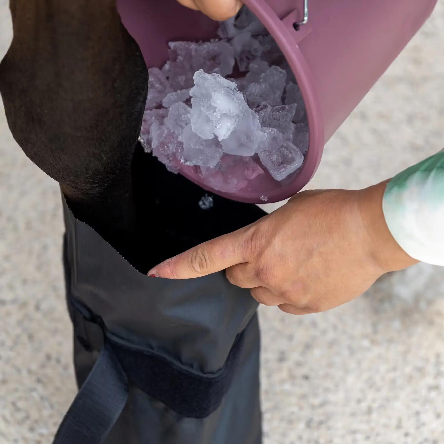 Hoof care for horses Kentucky Horsewear Medical & Ice 5/5