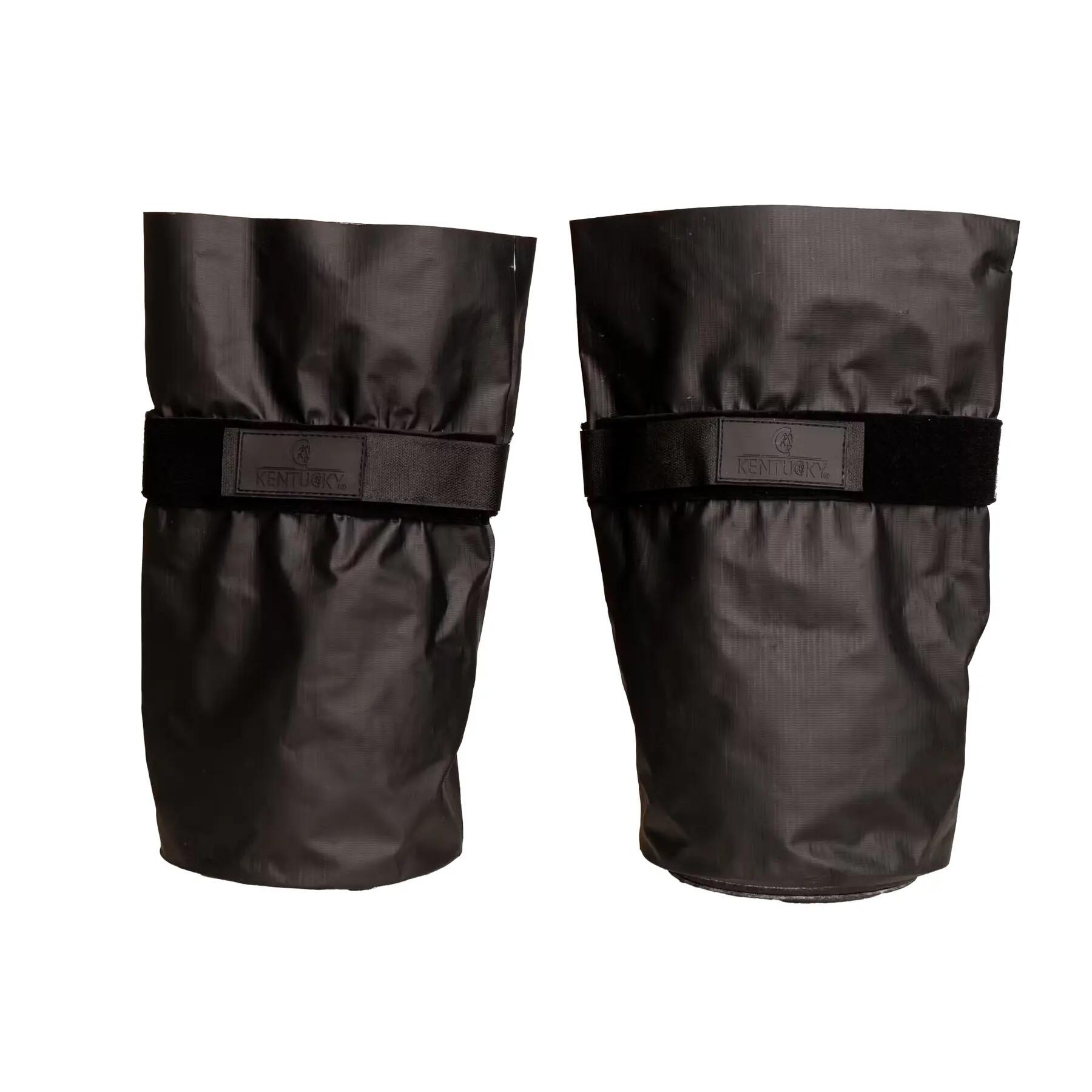 KENTUCKY HORSEWEAR picture