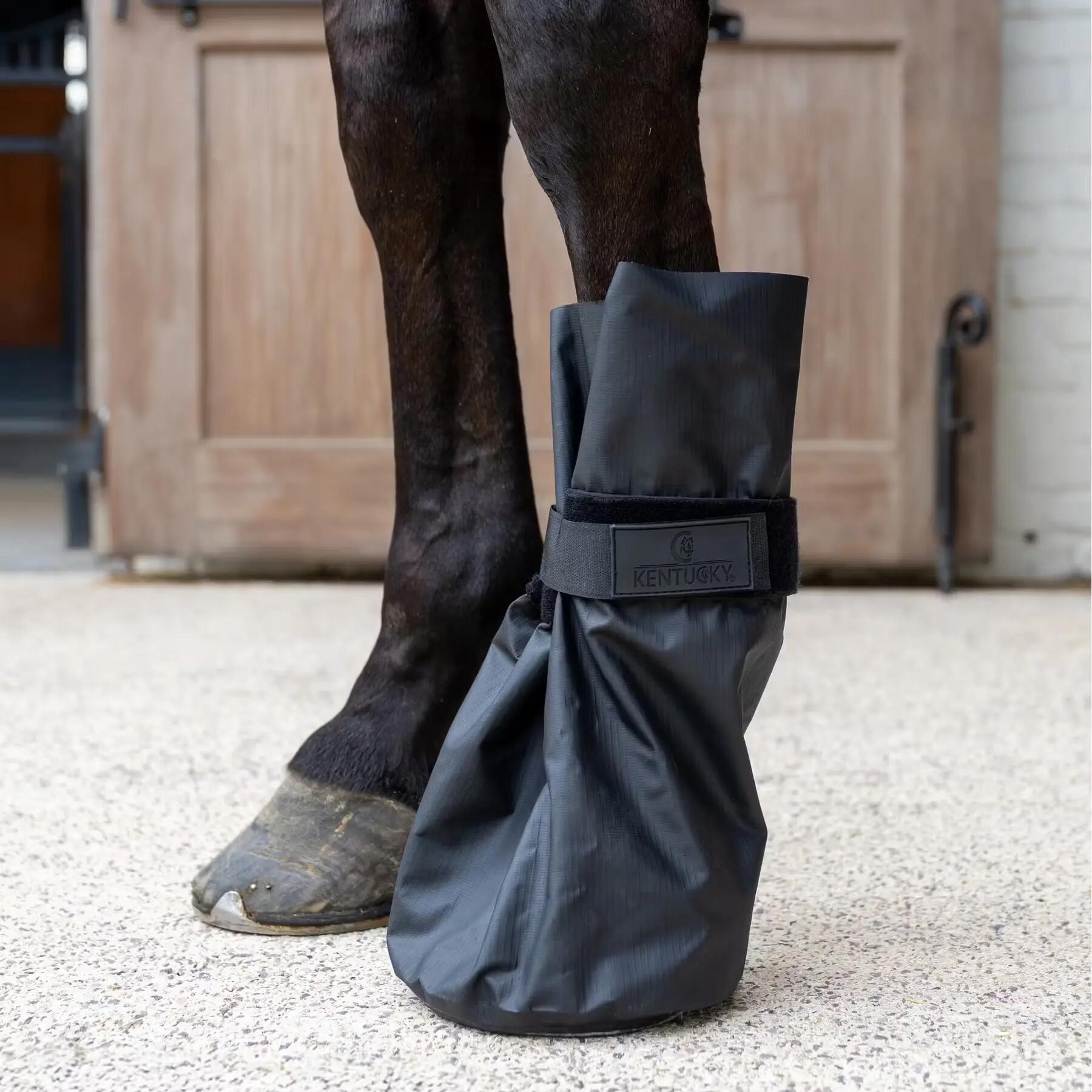 Hoof care for horses Kentucky Horsewear Medical & Ice 4/5
