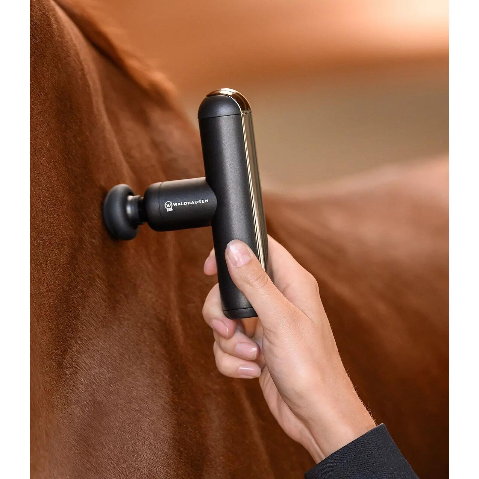 Dispositivo de masaje para caballo Waldhausen PocketRelax 3/5