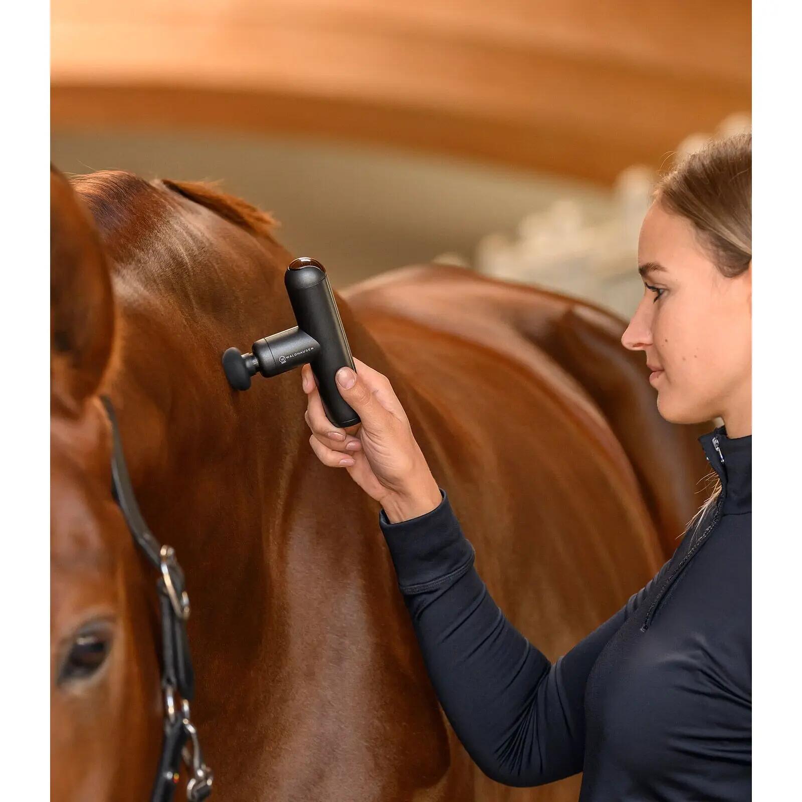 Dispositivo de masaje para caballo Waldhausen PocketRelax 4/5
