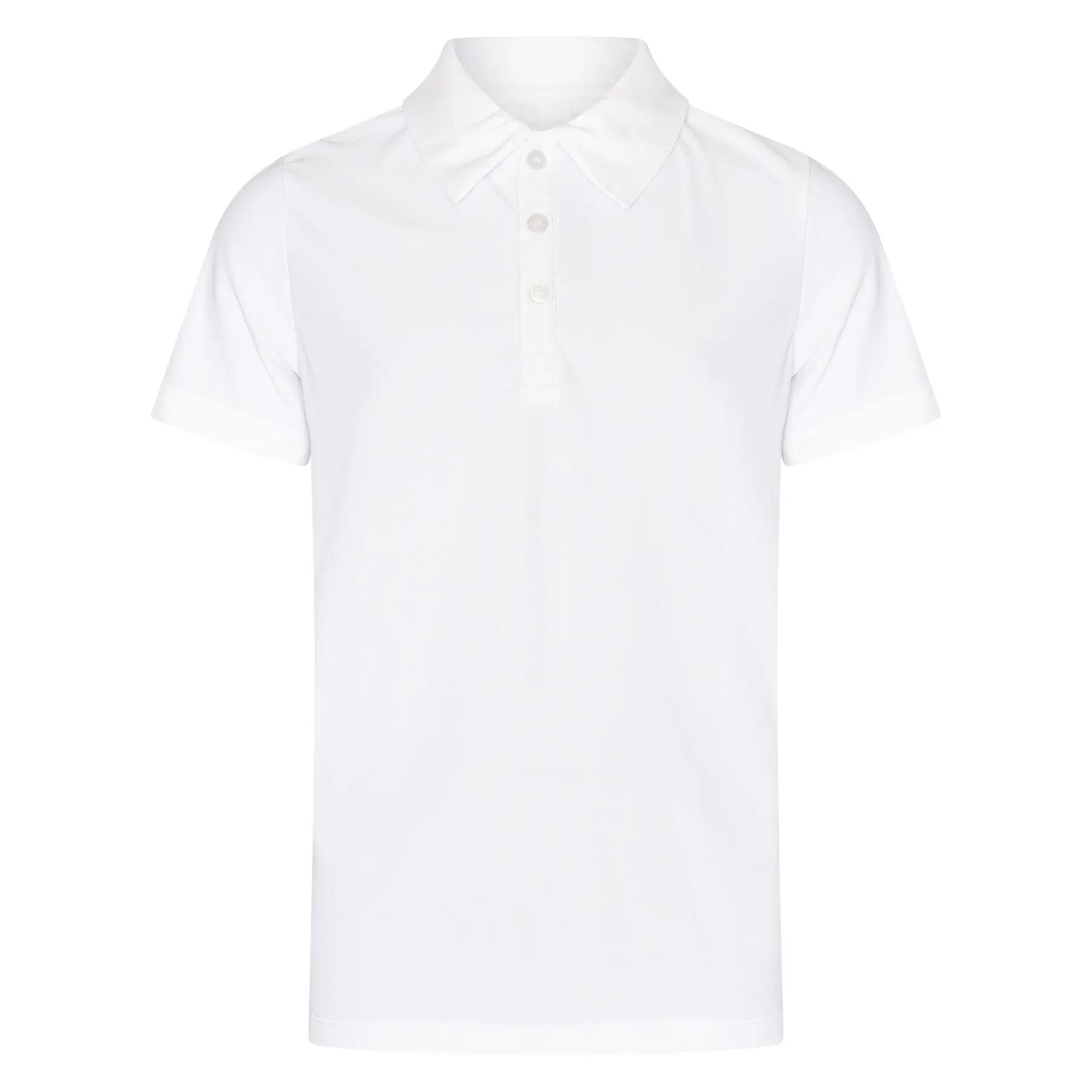 HV POLO picture