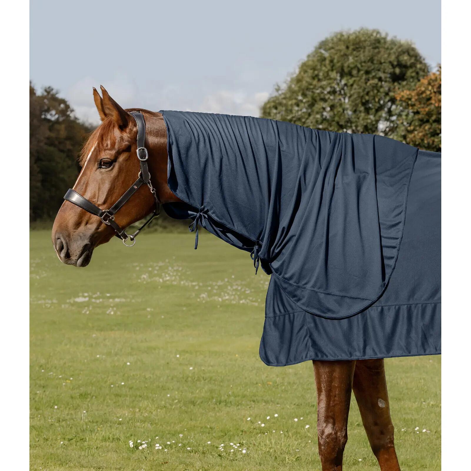 Couvre-cou pour cheval Waldhausen Health + Care Ice Layer 2/3