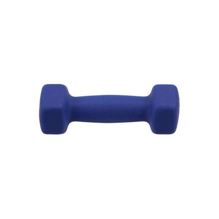 Fitness-Hantel Punch