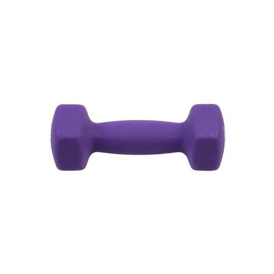 Fitness halter punch