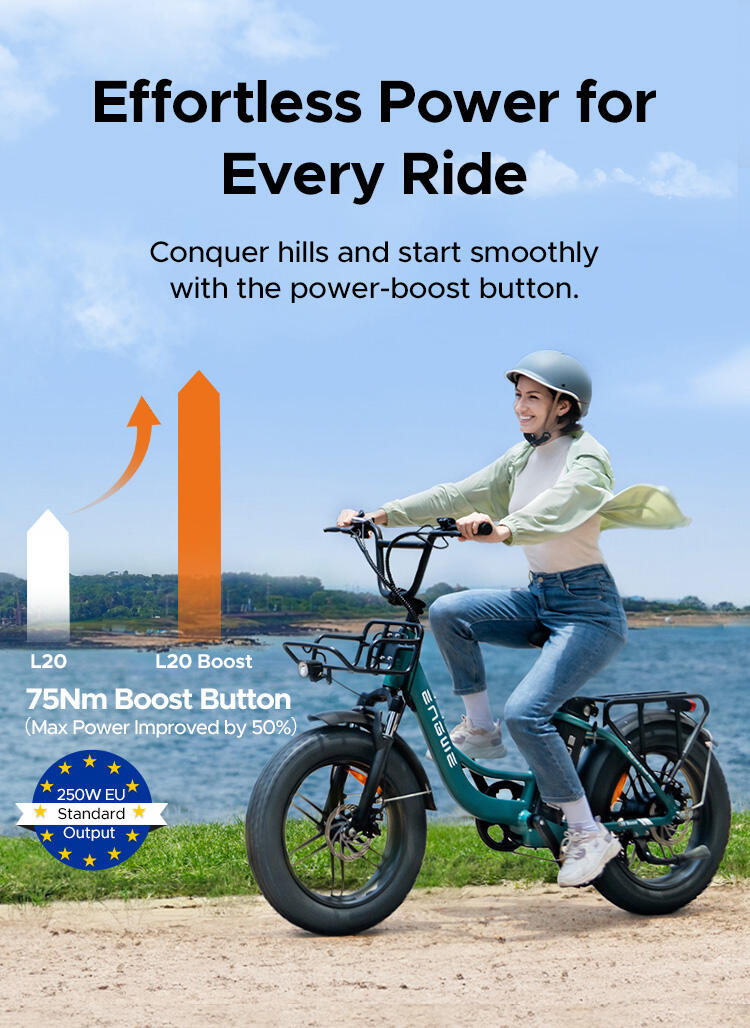 Bicicletta elettrica ENGWE L20 Boost 7/7