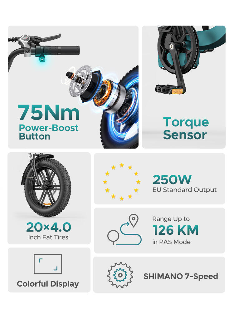 Bicicleta eléctrica ENGWE L20 Boost con cuadro bajo, para adultos 6/7