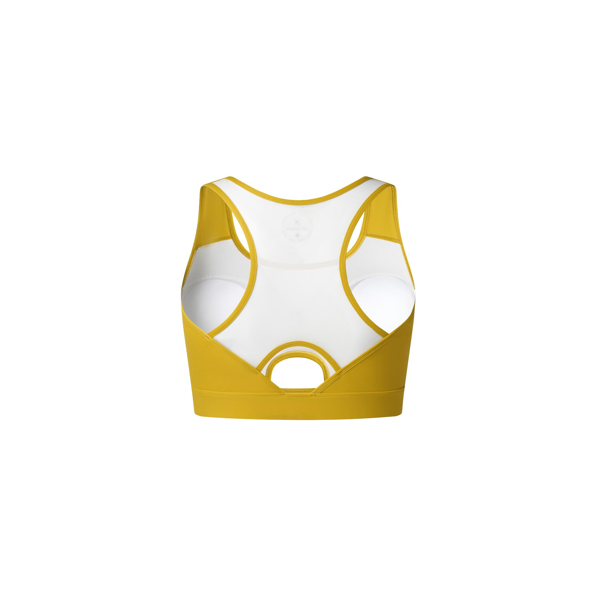 ChromaFlex HRM-Fit Bh 2/5
