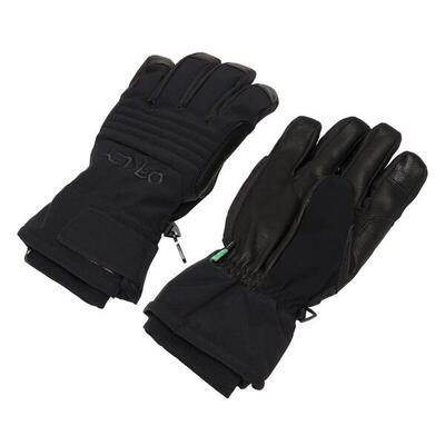 Oakley ski/snowboard gloves