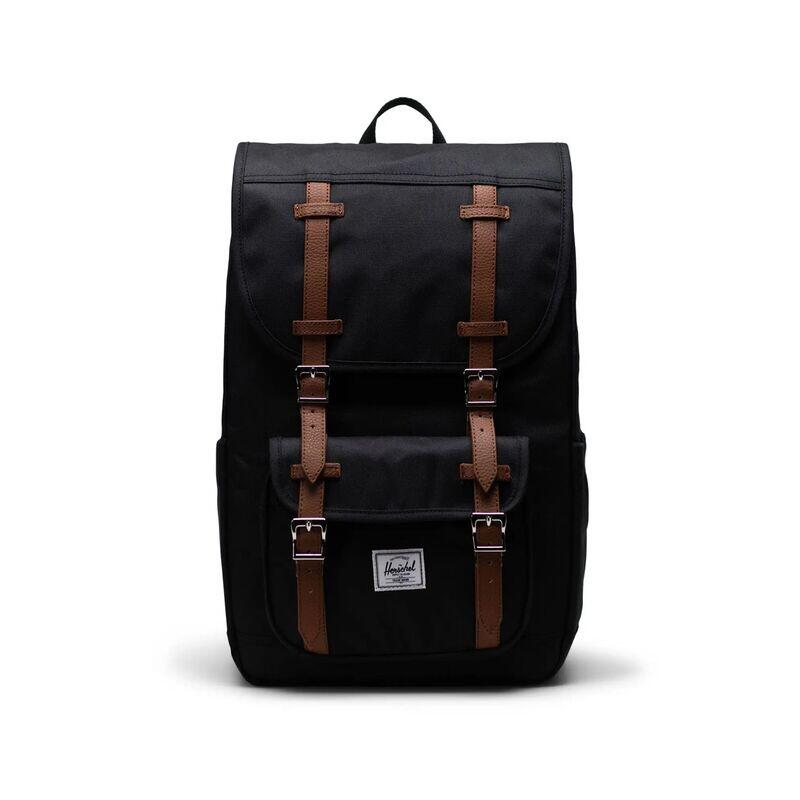 HERSCHEL picture