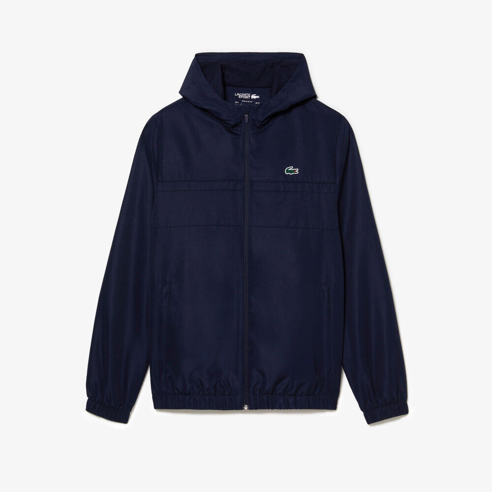 LACOSTE picture