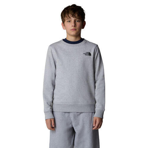 Sudadera Gris The North Face Redbox para Niños de Estilo Informal 4/4