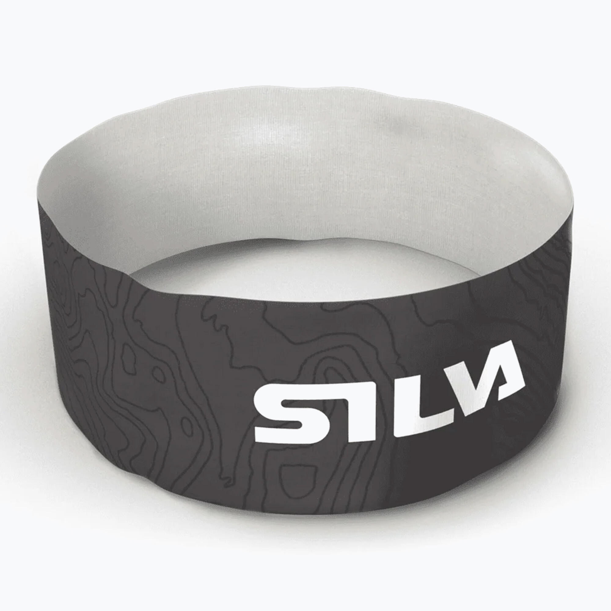 SILVA picture