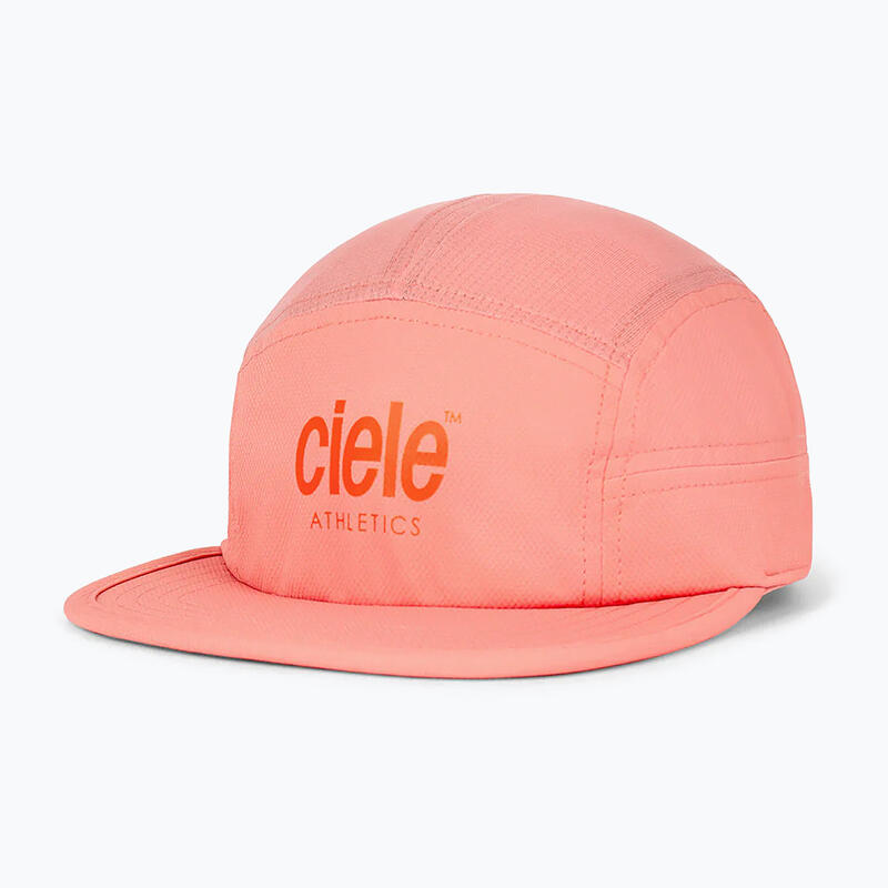 dea5d9cd-c94d-4f1a-a335-599d576726a0_c24