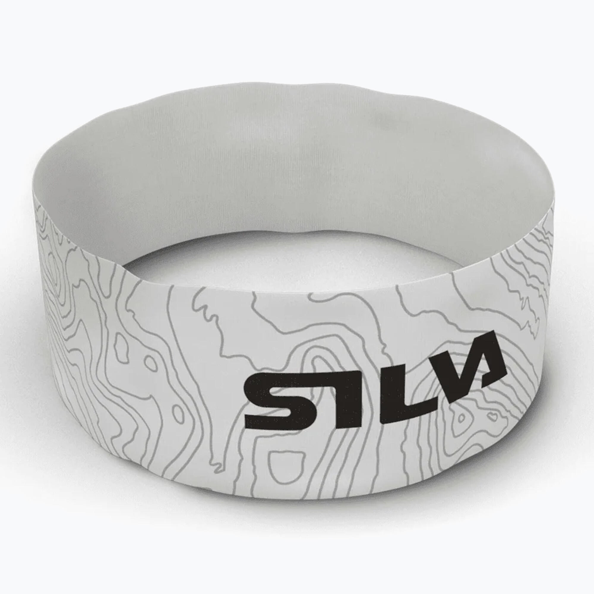 SILVA picture