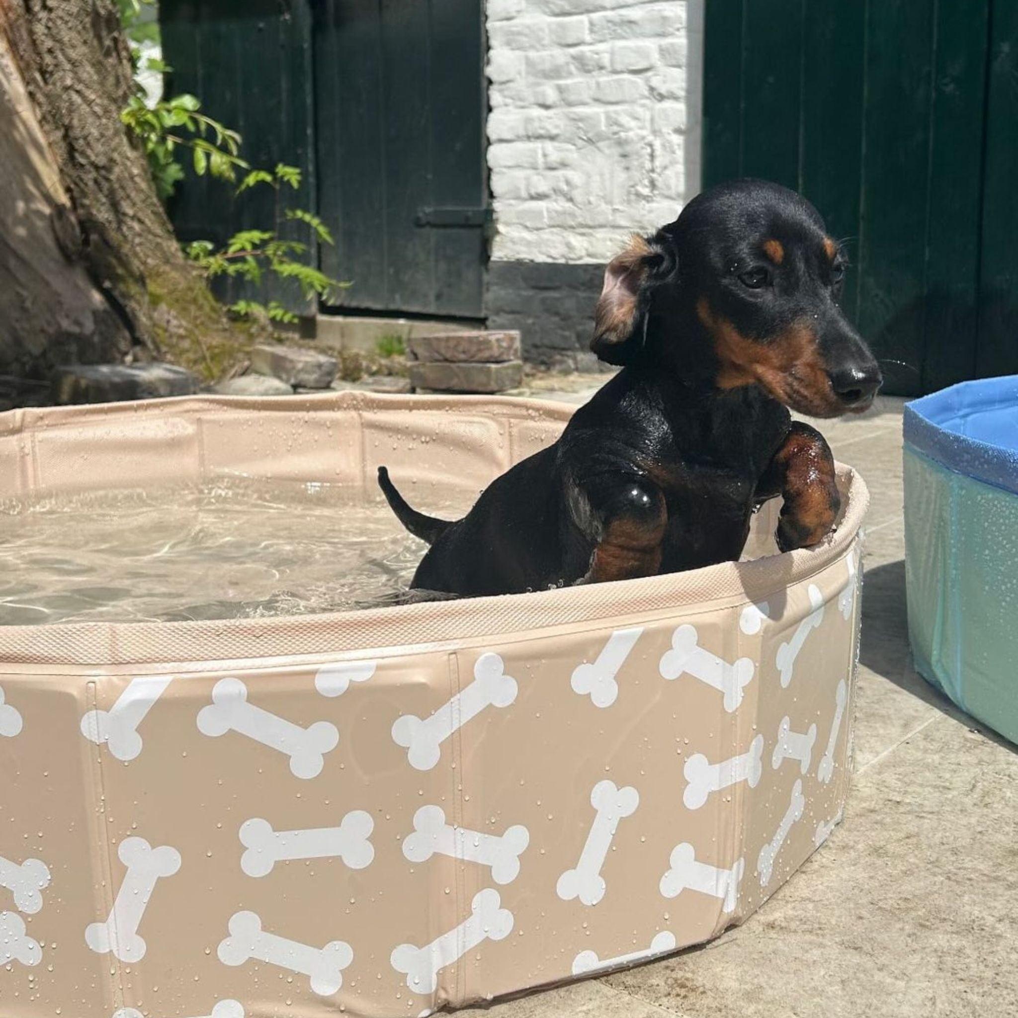 Swim Essentials Hunde Pool Beige Knochen 80 cm 3/4