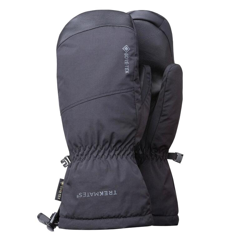 Men's Chamonix GTX waterproof mittens in black